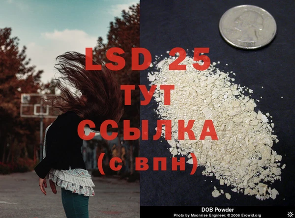 стаф Аркадак