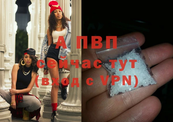 стаф Аркадак