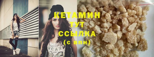 стаф Аркадак
