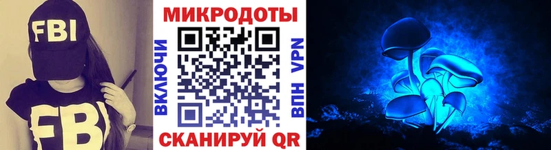 Галлюциногенные грибы Psilocybe  Струнино 